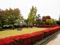 Autumn garden on the grounds of former Kaichi school in Matsumoto Royalty Free Stock Photo