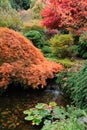 Autumn garden pond