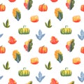 Autumn garden seamless pattern on white background. Pumpkin watercolor illustration. Orange tree, bush and vegetable Royalty Free Stock Photo