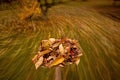 Autumn in the garden. Shovel with fallen leaves in motion over the grass of a yard. Yardwork.
