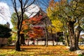 Autumn garden at Toji temple, Kyoto Royalty Free Stock Photo