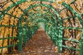 Autumn in a garden tunnel in the park Royalty Free Stock Photo