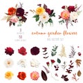 Autumn garden vector design big set