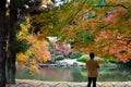 Autumn garden view red maple Tokyo Royalty Free Stock Photo