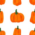 Autumn Gardening Theme Pattern, Seamless Pumpkins Pattern, Vector Illustration EPS 10.