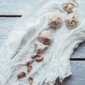 Autumn garlic on a white gauze Royalty Free Stock Photo