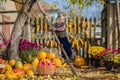 Autumn gathering apples on the farm. Children collect fruit in the basket. Outdoor fun for kids.