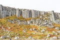 Gerduberg Cliffs on Iceland