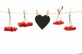 Autumn gifts hanging on a rope attached with a clothespin, isolate on a white background, blank for design, free space