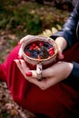 Autumn. Girl with bright red nails siting in autumn park and holding cup of tea with rosehip berries. Close up Royalty Free Stock Photo