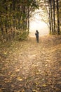 Autumn: Girl on the road in the park, forest.