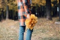 Autumn girl walking in city park. Portrait of happy lovely and beautiful young woman in forest in fall colors. Focus on Royalty Free Stock Photo