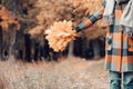 Autumn girl walking in city park. Portrait of happy lovely and beautiful young woman in forest in fall colors. Focus on Royalty Free Stock Photo