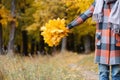 Autumn girl walking in city park. Portrait of happy lovely and beautiful young woman in forest in fall colors. Focus on Royalty Free Stock Photo