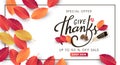 Thanksgiving day sale banner. Royalty Free Stock Photo