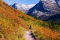 Autumn in Glacier Park Royalty Free Stock Photo