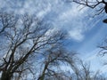 Autumn gloomy sky and leafless trees. Autumn winter weather forecast concept. Royalty Free Stock Photo