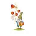Autumn gnome standing on green grass holding pumpkin and Physalis flower isolated on white. Scandinavian gnome. Thanksgiving
