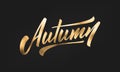 Autumn. Gold foil Autumn lettering calligraphy design