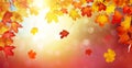 Autumn golden abstract background with bokeh light and colorful fall leaves Royalty Free Stock Photo