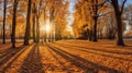 Autumn, Golden autumn scene in a park, with falling leaves, the sun shining through the trees and blue sky. morning sunlight. Royalty Free Stock Photo