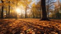 Autumn, Golden autumn scene in a park, with falling leaves, the sun shining through the trees and blue sky. morning sunlight. Royalty Free Stock Photo