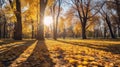 Autumn, Golden autumn scene in a park, with falling leaves, the sun shining through the trees and blue sky. morning sunlight. Royalty Free Stock Photo