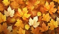 Autumn golden leafs background Royalty Free Stock Photo