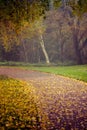 Autumn in Goldsworth Park in Woking Royalty Free Stock Photo