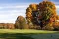 Autumn Golf Royalty Free Stock Photo