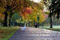 Autumn Goose Crossing in Park 01 Royalty Free Stock Photo