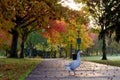 Autumn Goose Crossing in Park 05 Royalty Free Stock Photo