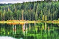 Autumn at Goose Lake Gifford Pinchot National Forest