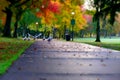 Autumn Geese Crossing in Park 03 Royalty Free Stock Photo