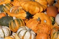 Autumn gourds and pumpkins Royalty Free Stock Photo