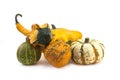 Autumn gourds and pumpkins Royalty Free Stock Photo