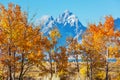 Autumn in Grand Teton Royalty Free Stock Photo