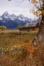 Autumn, Grand Tetons Royalty Free Stock Photo