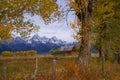 Autumn, Grand Tetons framed Royalty Free Stock Photo