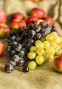 Autumn grape, pomegranate and apple fruits on wool background