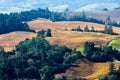 Autumn Dream - Autumn grape vines paint reds and yellows over rolling hills. Alexander Valley, California, USA Royalty Free Stock Photo