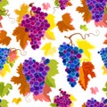 Autumn Grapes Seamless Pattern Royalty Free Stock Photo