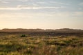 Autumn grass field landscape with dune view  in background Royalty Free Stock Photo