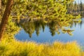 Autumn Grass Beside A Lake