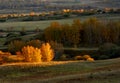 Autumn grassland Royalty Free Stock Photo