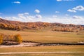 The Grassland and colorful forest of Golden Autumn,Ulanbutong