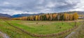 Autumn grassland in Xinjiang Royalty Free Stock Photo