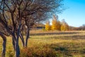 Autumn grasslands of Inner Mongolia Royalty Free Stock Photo