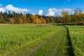 Autumn green fields and wide walking paths. Beautiful fall season colorful landscape with colorful trees. Yellow green gold Royalty Free Stock Photo