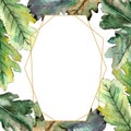 Autumn green oak leaf. Leaf plant botanical garden floral foliage. Frame border ornament square.